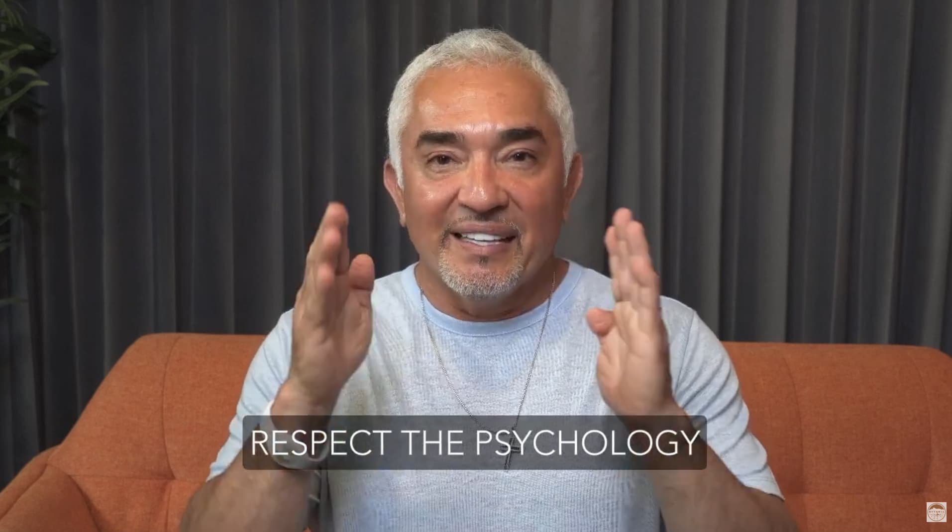 Cesar Millan Rythmia Review